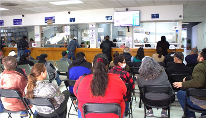 ATIENDE DESARROLLO URBANO Y ECOLOGÍA MÁS DE 56 MIL TRÁMITES Y DENUNCIAS EN EL 2025