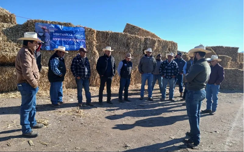 SUMAN CERCA DE 15 MIL PACAS DE RASTROJO ENTREGADAS A PRODUCTORES PECUARIOS EN LA PRIMERA QUINCENA DE ENERO