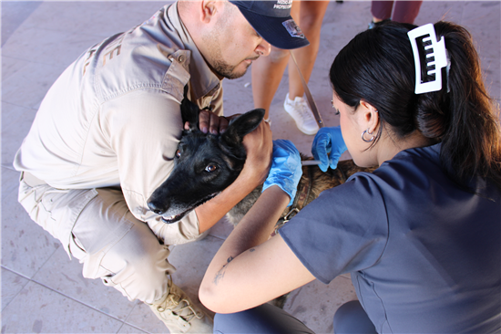 LLEVARÁ MUNICIPIO “MEGAPATIO DE MI CASA” A COLONIAS CAMPESINA NUEVA Y ALFREDO CHÁVEZ