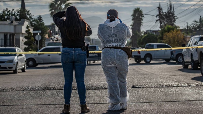 ESTADOS REGISTRAN ALTAS TASAS DE HOMICIDIO