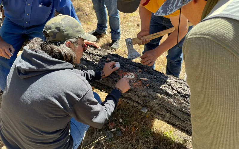 INTENSIFICA DESARROLLO RURAL ACCIONES PARA EL COMBATE Y CONTROL DE PLAGAS FORESTALES
