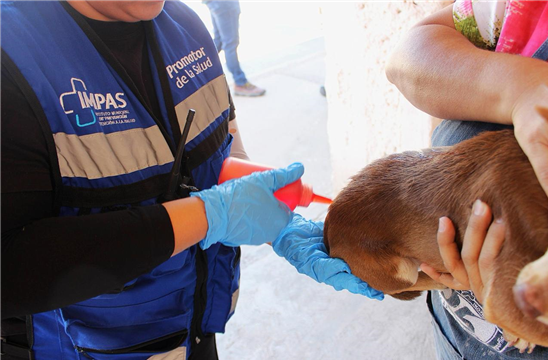 SERVICIOS GRATUITOS DE SALUD EN PRADERAS DEL SUR CON “MEGAPATIO DE MI CASA” DEL MUNICIPIO