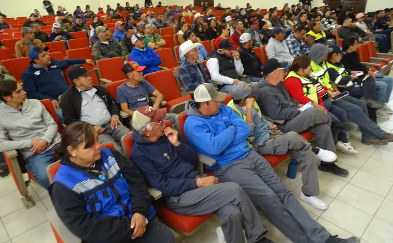 IMPARTE SDUE TALLER ANUAL DE PODA DE ÁRBOLES DE ORNATO A FUNCIONARIOS MUNICIPALES