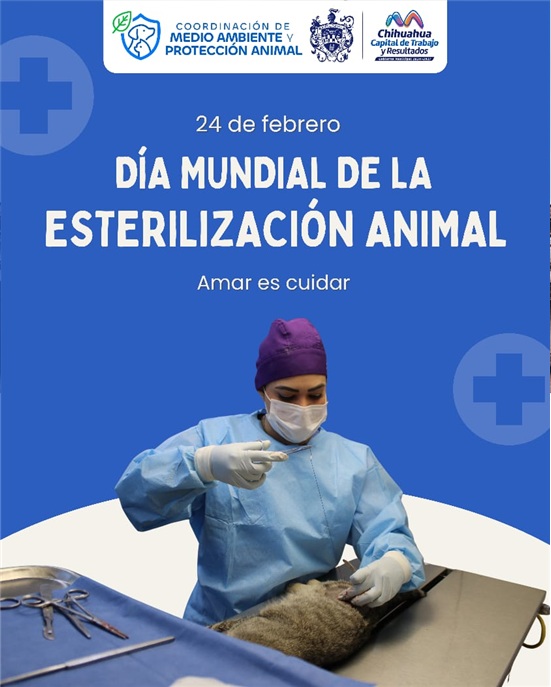 CUIDA A TU MASCOTA: FOMENTA MUNICIPIO SERVICIO DE ESTERILIZACIÓN PARA PERROS Y GATOS
