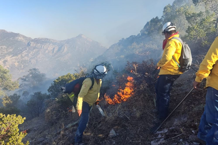 LLAMA SDR A REFORZAR MEDIDAS DE PREVENCIÓN CONTRA INCENDIOS FORESTALES