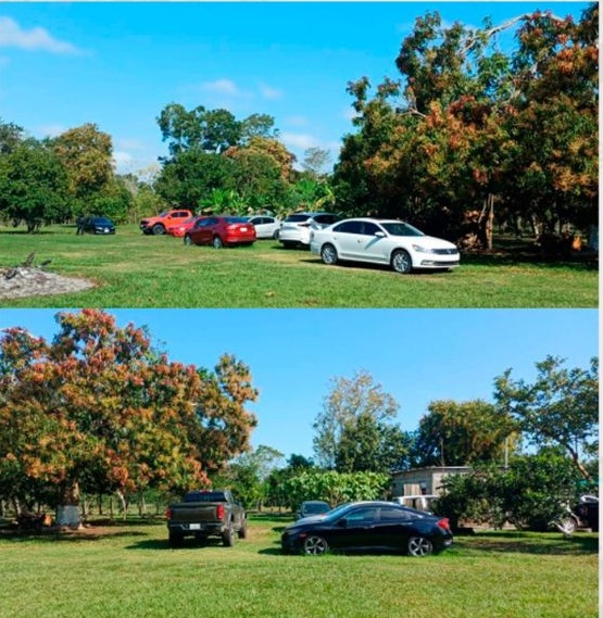 OPERATIVO CONTRA LA BARREDORA EN TABASCO DEJÓ COMO RESULTADO LA DETENCIÓN DE DOS MUJERES Y EL DECOMISO DE UN ARSENAL, VEHÍCULOS Y DROGA