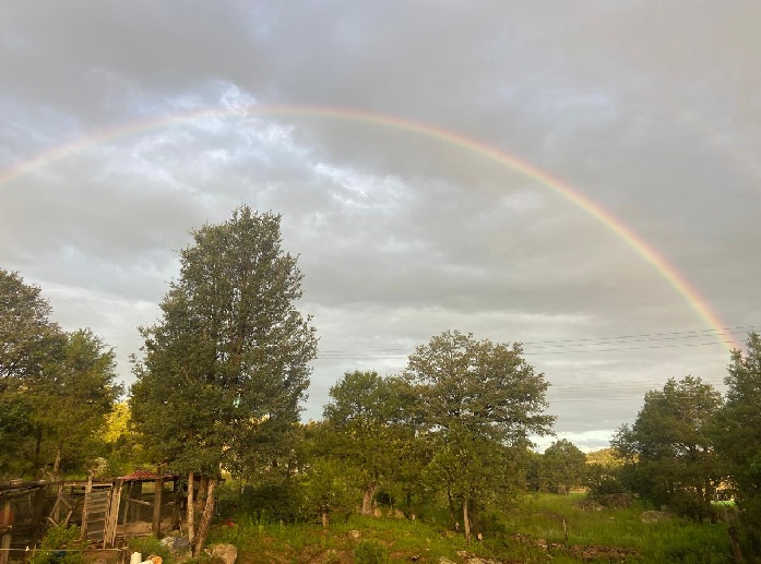 EMITE PROTECCIÓN CIVIL ALERTA AMARILLA POR VIENTOS FUERTES ANTE INGRESO DE LA CUARTA TORMENTA INVERNAL