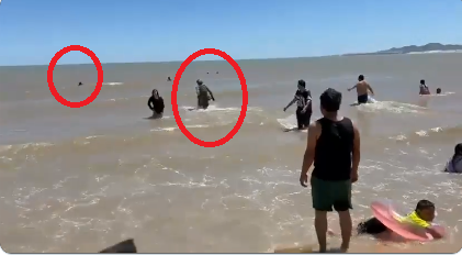 MARINA RESCATA A UNA PERSONA EN PLAYA EL MALECÓN, EN SAN FELIPE, BAJA CALIFORNIA