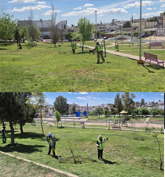 CUMPLE MUNICIPIO CON PARQUES DIGNOS Y DE CALIDAD; MANTIENE LIMPIEZA PERMANENTE