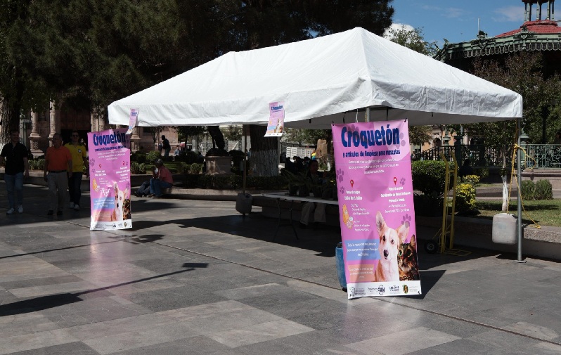 INVITA REGIDOR VILLEGAS A DONAR ALIMENTO Y PRODUCTOS DE LIMPIEZA PARA MASCOTAS EN LA PLAZA DE ARMAS