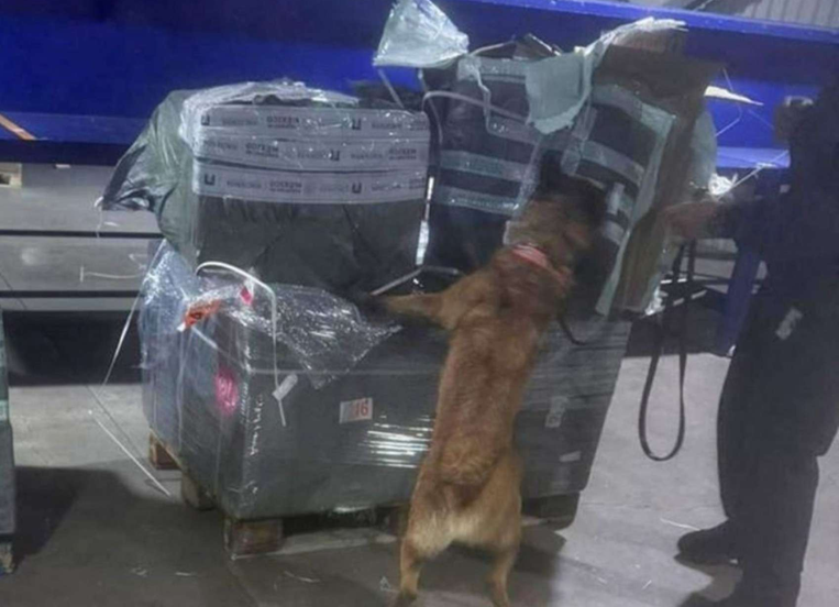 ASEGURAN CASI DOS MILLONES DE CIGARROS ILEGALES EN EL AICM