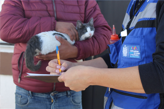 CUMPLE MARCO BONILLA CON SALUD DE LAS FAMILIAS; LLEVA PROGRAMA “PATIO DE MI CASA” A COLONIAS DE LA CIUDAD