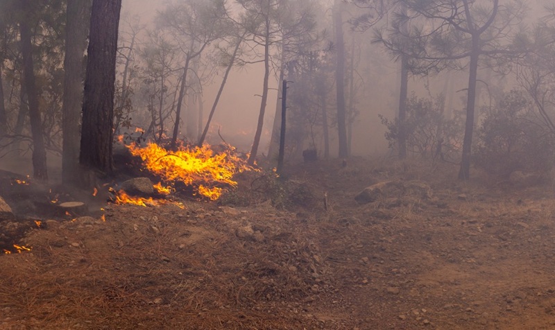LLAMA SDR A EVITAR QUEMAS AGRÍCOLAS SIN AUTORIZACIÓN PARA PREVENIR INCENDIOS FORESTALES