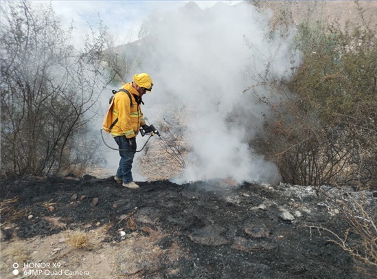 ATIENDE GOBIERNO MUNICIPAL INCENDIO DE PASTIZAL EN LA CARRETERA CHIHUAHUA–ALDAMA