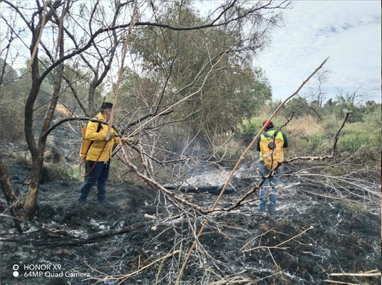ATENDIÓ GOBIERNO MUNICIPAL INCENDIO DE PASTIZAL EN LA CARRETERA CHIHUAHUA–ALDAMA