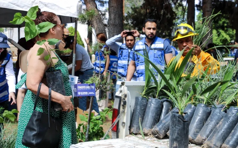 MÁS DE 800 PERSONAS SE DAN CITA EN ENTREGA DE SEMILLAS, ÁRBOLES Y PLÁNTULAS DE LA SDR