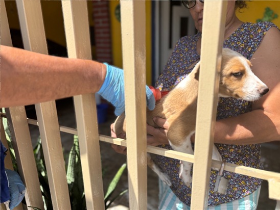 CONTINÚA MUNICIPIO ACCIONES PREVENTIVAS CONTRA LA RICKETTSIA: “PATIO DE MI CASA” ESTARÁ EN CUATRO COLONIAS DEL NORTE DE LA CIUDAD
