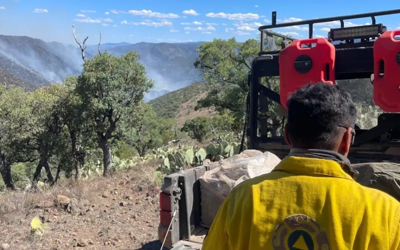 MANTIENE CEPC DESPLIEGUE OPERATIVO PARA ATENDER INCENDIO FORESTAL EN EL MUNICIPIO DE MADERA