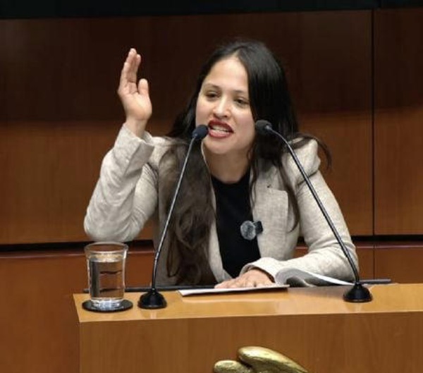 BEATRIZ ANDREA NAVARRO, DIPUTADA DE MORENA QUE CAUSÓ POLÉMICA POR USAR LENGUAJE SOEZ
