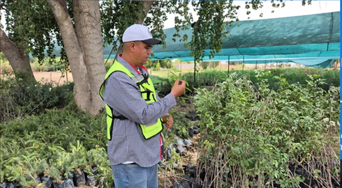 EN EL DÍA MUNDIAL DEL MEDIO AMBIENTE, GOBIERNO MUNICIPAL COMPARTE RECOMENDACIONES PARA EL CUIDADO DE ÁRBOLES Y PLANTAS  