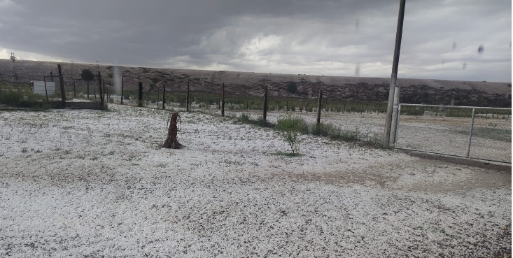 PREVÉ PROTECCIÓN CIVIL INCREMENTO DE TEMPERATURAS EN LA ENTIDAD