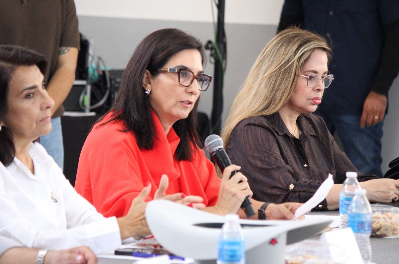 RECONOCE JONI BARAJAS LA LENGUA DE SEÑAS MEXICANA COMO PATRIMONIO LINGÜÍSTICO Y CULTURAL DE LA NACIÓN