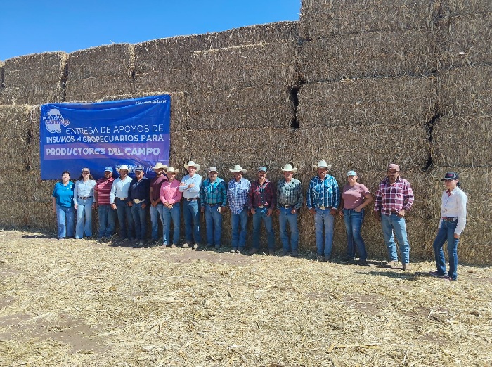 FORTALECE ESTADO AL CAMPO CHIHUAHUENSE; ENTREGA MÁS DE 140 MIL PACAS DE RASTROJO A 15 MIL PRODUCTORES