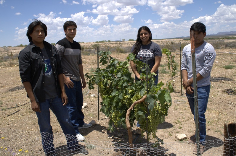 INNOVADOR PROYECTO DE VINO UNIVERSITARIO IMPULSA EL APRENDIZAJE EN LA UTCAM