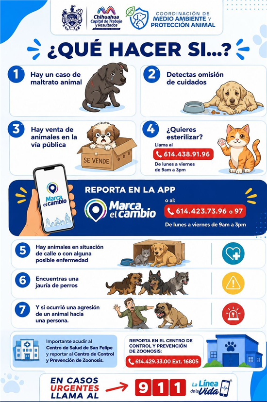 SI ENCONTRASTE UN PERRO EN SITUACIÓN DE CALLE, MUNICIPIO TE ORIENTA SOBRE DÓNDE REPORTARLO