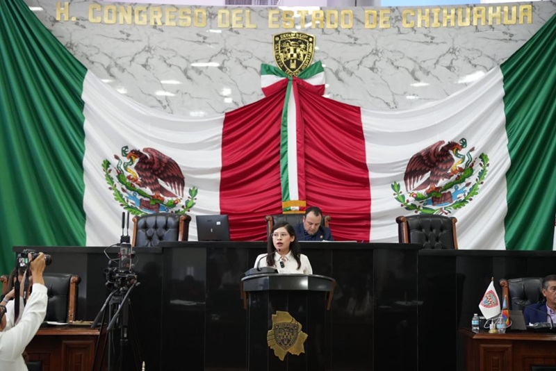 SIN PRIVILEGIOS NI SIMULACIÓN; ARGÜELLES PRESENTA RESERVAS A LA REFORMA ELECTORAL