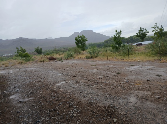 PREVÉ PROTECCIÓN CIVIL LLUVIA, VIENTO Y TEMPERATURAS SUPERIORES A LOS 30ºC EN GRAN PARTE DEL ESTADO