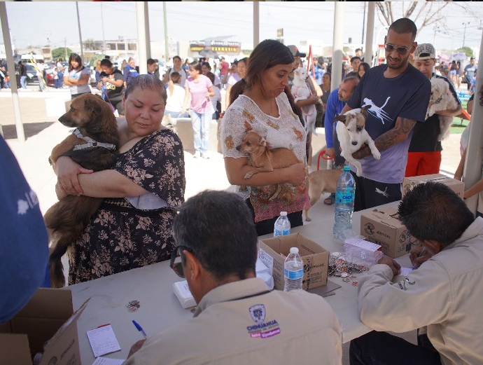 LLAMA ESTADO A PREVENIR ENFERMEDADES TRANSMITIDAS POR ANIMALES EN EL DÍA MUNDIAL DE LA ZOONOSIS