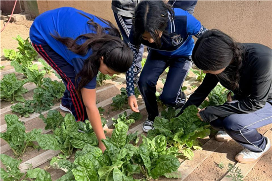 HUERTOS ESCOLARES SIEMBRAN APRENDIZAJE EN COMUNIDADES RURALES DE CHIHUAHUA CAPITAL