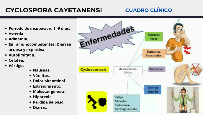 LA SECRETARÍA DE SALUD CONFIRMÓ TRES CASOS DE CYCLOSPORA EN MÉXICO Y DETALLÓ SI TIENEN RELACIÓN CON EL BROTE EN EU