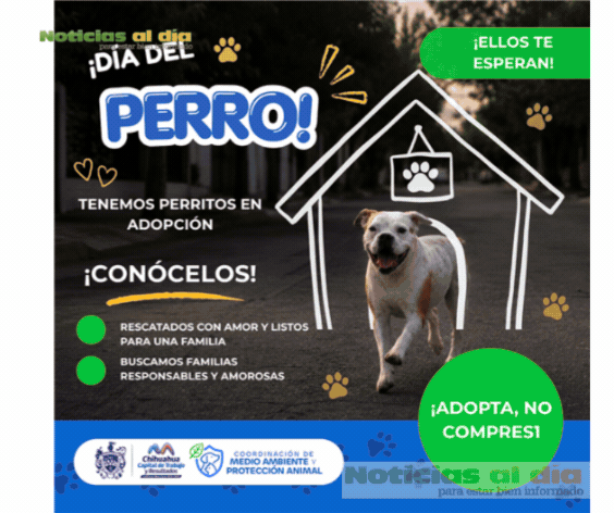 CONMEMORA MUNICIPIO EL “DÍA MUNDIAL DEL PERRO” CON ACCIONES DE SALUD, RESCATE Y ADOPCIÓN