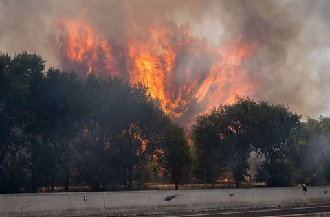 OBLIGAN INCENDIOS EN MADRID A EVACUAR A MÁS DE 40 MIL PERSONAS