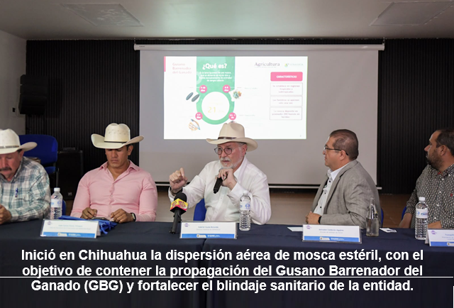 INICIA EN CHIHUAHUA LA DISPERSIÓN DE MOSCA ESTÉRIL PARA REFORZAR EL BLINDAJE SANITARIO CONTRA EL GUSANO BARRENADOR DEL GANADO
