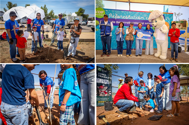 PLANTA MUNICIPIO 150 ÁRBOLES EN EL CDII NORTE JUNTO CON GRUPO BIMBO Y SOCIEDAD CIVIL