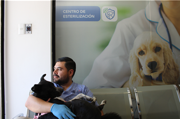 PROTEGE SU SALUD: PROMUEVE MUNICIPIO LA ESTERILIZACIÓN RESPONSABLE DE PERROS Y GATOS
