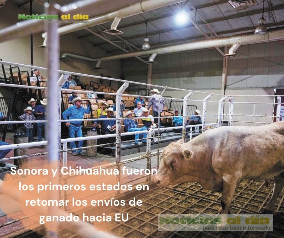 MÉXICO INSTALÓ UN CONSEJO TÉCNICO-CIENTÍFICO PARA LA ERRADICACIÓN DEL GUSANO BARRENADOR DEL GANADO (GBG)