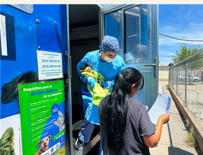IMPULSA MUNICIPIO LA ESTERILIZACIÓN COMO ESTRATEGIA PARA PREVENIR LA SOBREPOBLACIÓN ANIMAL