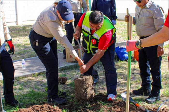 FORTALECIÓ MUNICIPIO CUIDADO DEL MEDIO AMBIENTE CON FORESTACIONES EN LA CIUDAD