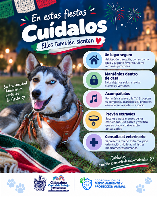 PROTEGE A TUS ANIMALITOS DEL RUIDO DE LA PIROTECNIA EN ESTAS FIESTAS PATRIAS: MUNICIPIO