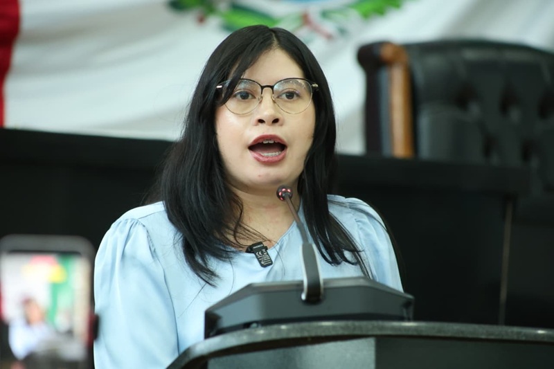 JAEL ARGÜELLES EXIGE A GILBERTO BAEZA ACTUAR ANTE ALERTA POR DENGUE EN LA SIERRA DE CHIHUAHUA