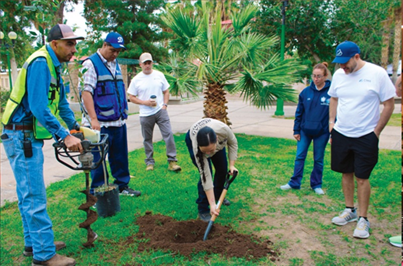 REFUERZA GOBIERNO MUNICIPAL ÁREAS VERDES DEL PARQUE LERDO CON 108 NUEVOS ÁRBOLES