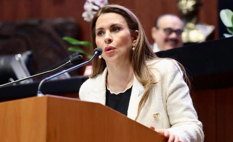 QUE SE INVESTIGUE PATRIMONIO DE SENADORA CAROLINA VIGGIANO; PIDE CLAUDIA SHEINMBAUM