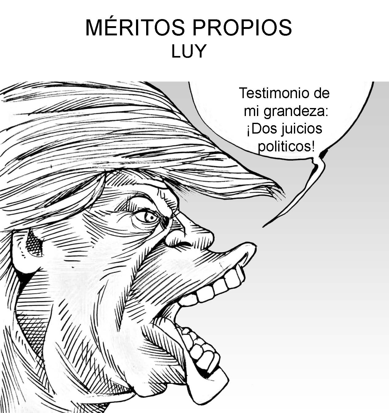 MERITOS PROPIOS-LUY