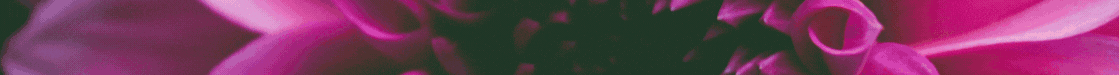 BANNER NOTICIAS AL DIA
