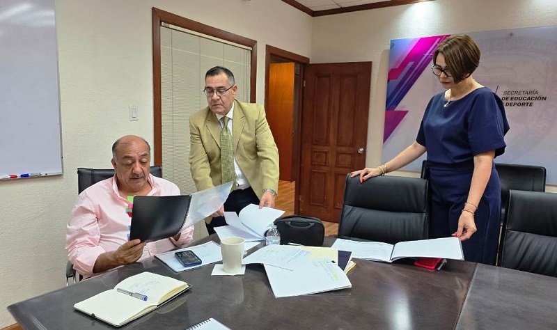 REVISA SEYD PLAN DE TRABAJO DE LA DIRECCIÓN ESTATAL DE PROFESIONES