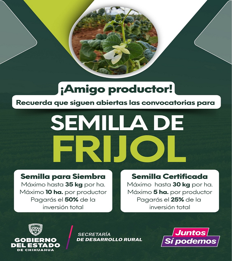 INVIERTE DESARROLLO RURAL 6 MDP EN SUBSIDIOS PARA LA ADQUISICIÓN DE SEMILLA DE FRIJOL